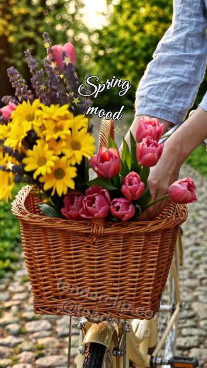 Spring mood: bike basket fills with blooms