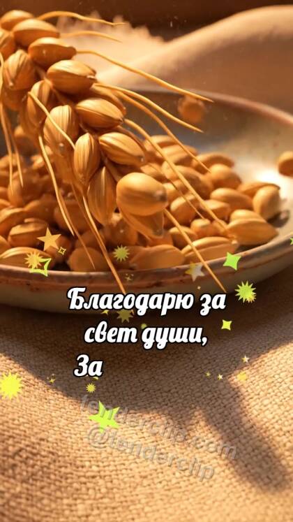Спасибо: Колосок дарит зёрнышко