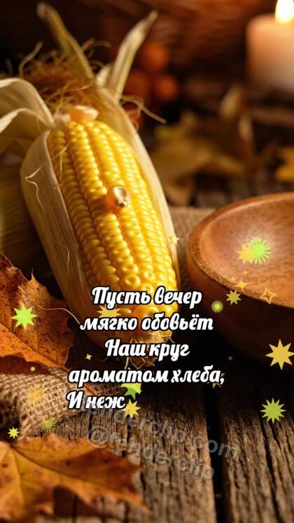 С Днём благодарения: Кукуруза роняет зёрнышко