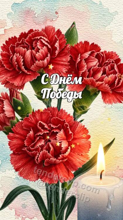 С Днём Победы: гвоздики ложатся у тёплой свечи