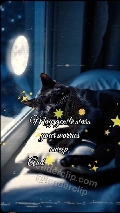 Good night: Moon Tucks Cat