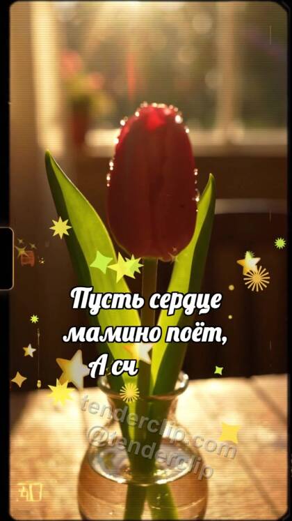 С днём матери: Тюльпан прячет сердечко