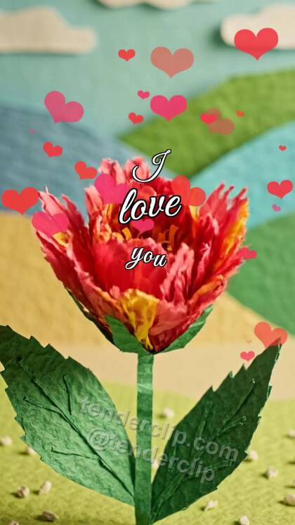 I love you: flower opens toward the viewer