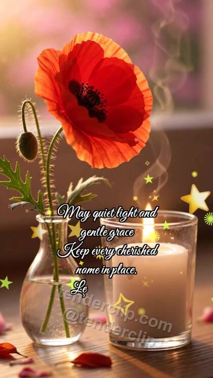 Memorial Day: Poppy Touches Candle