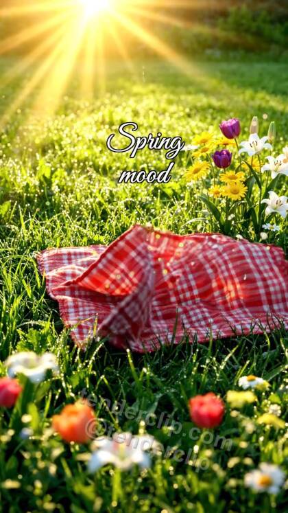 Spring mood: a sunbeam wakes a spring picnic