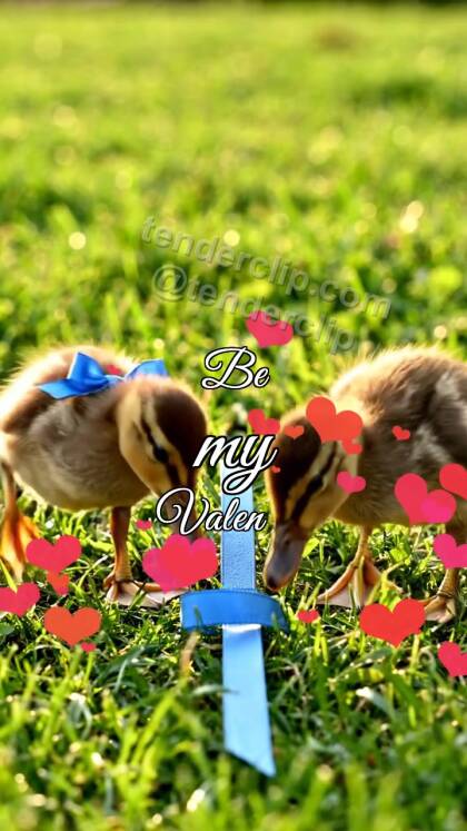 Be my Valentine: Ducklings Ribbon Heart