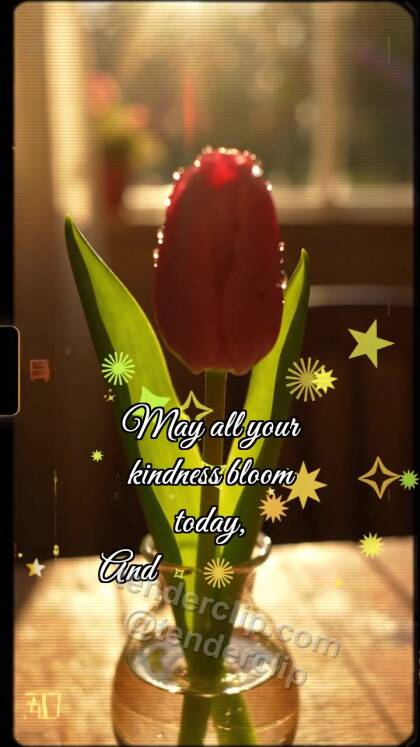 Happy Mother’s Day: Tulip Hides Heart