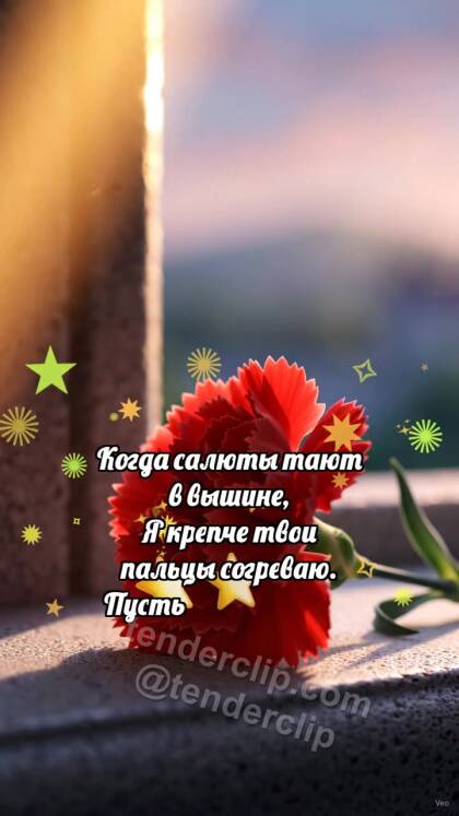 С Днём Победы: Гвоздика ловит рассвет