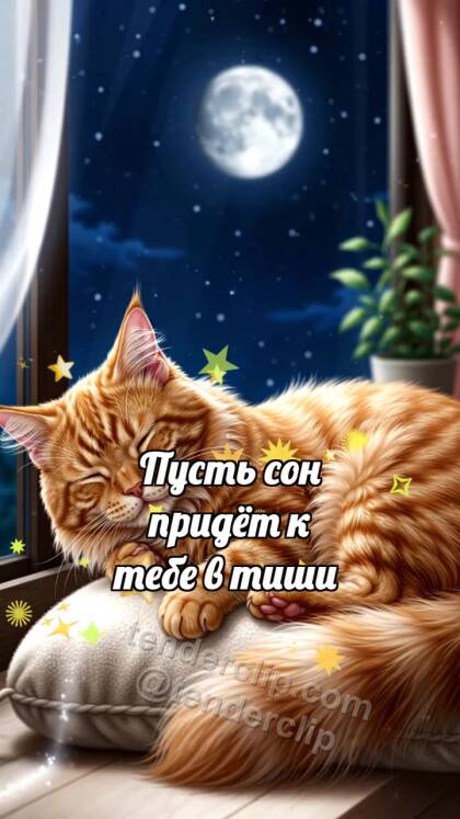 Спокойной ночи: Луна укрывает кота
