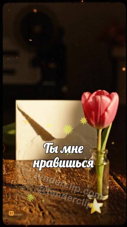 Ты мне нравишься: робкий конверт прячется за цветком