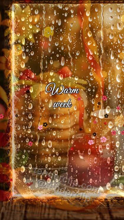 Warm week: rain clears into warm light