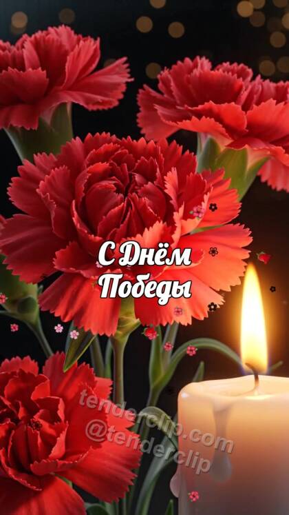 С Днём Победы: гвоздики ложатся у тёплой свечи