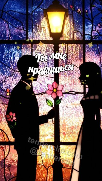 Ты мне нравишься: тень мужчины дарит цветок женщине