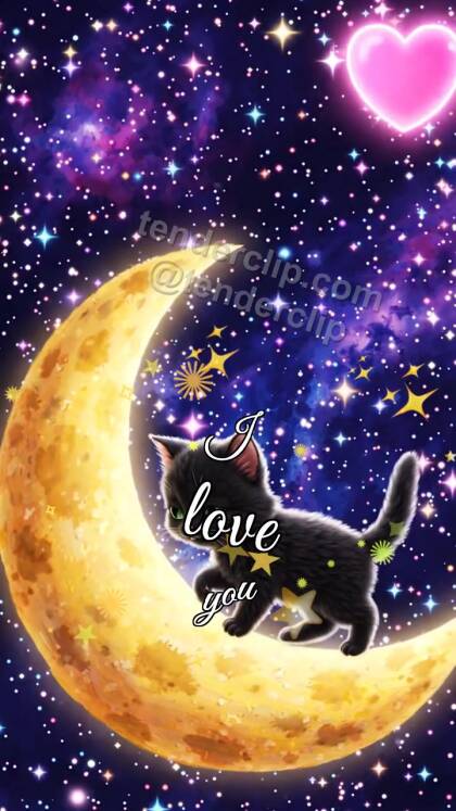 I love you: Moon Cat Heart