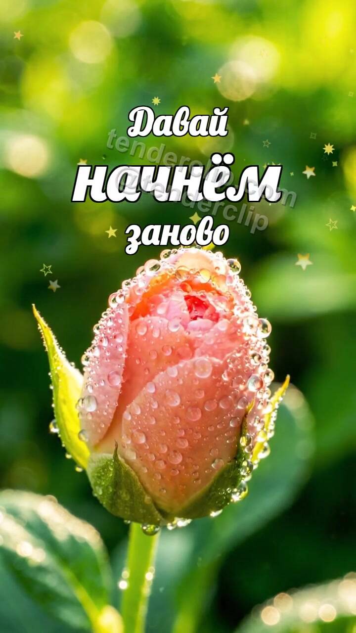 Давай начнём заново: бутон раскрывается