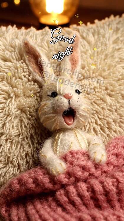 Good night: Sleepy Bunny Blanket