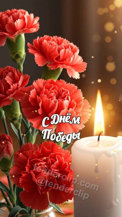 С Днём Победы: гвоздики ложатся у тёплой свечи