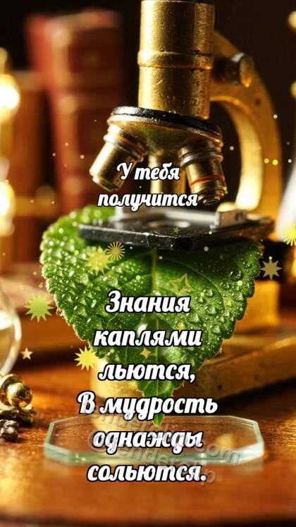 У тебя получится: Микроскоп ловит росу