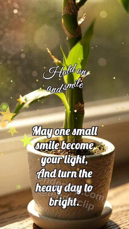 Hold on and smile: Bamboo Straightens Leaf