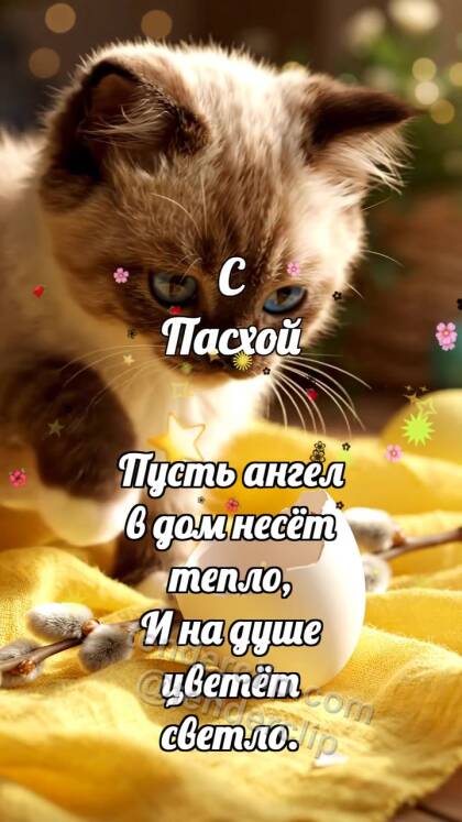 С Пасхой: Верба держит скорлупу
