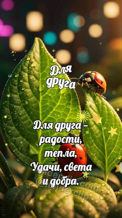 Для друга: Божья коровка делит лист