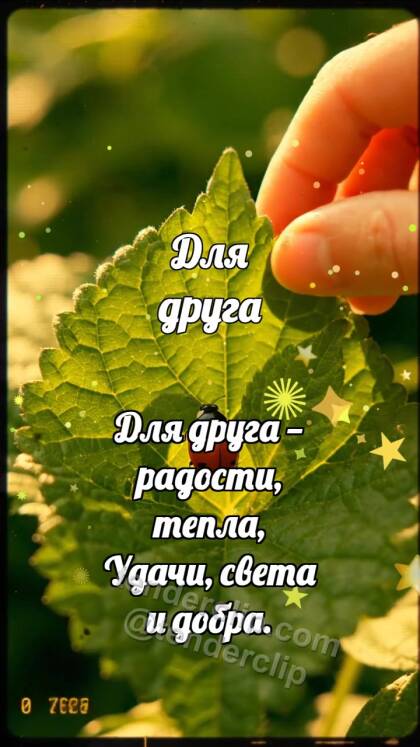 Для друга: Божья коровка делит лист