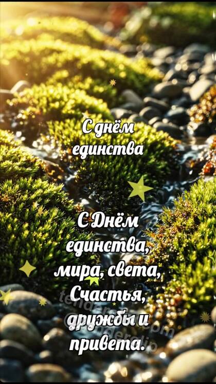 С днём единства: Ручейки встречаются вместе