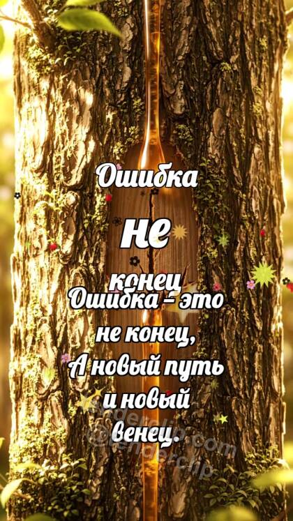 Ошибка не конец: Кора заживляет царапину