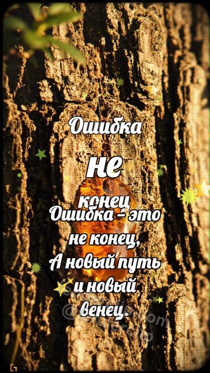 Ошибка не конец: Кора заживляет царапину