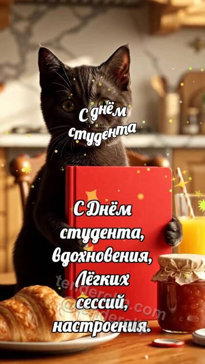 С днём студента: Котёнок с зачёткой удачи