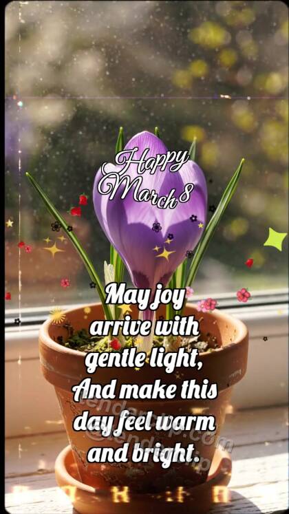 Happy March 8: Crocus Opens Spark
