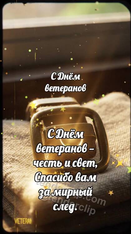 С Днём ветеранов: Медная пряжка встречает зарю