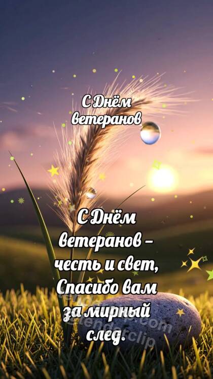 С Днём ветеранов: Ковыль держит росинку