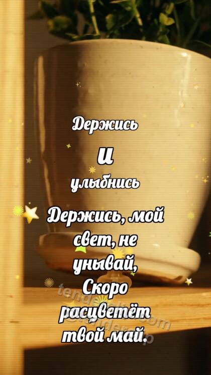 Держись и улыбнись: Резиновая опора держит горшок