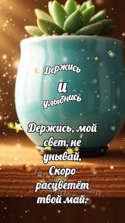 Держись и улыбнись: Резиновая опора держит горшок