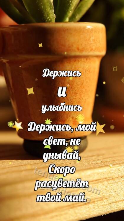 Держись и улыбнись: Резиновая опора держит горшок