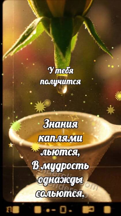 У тебя получится: Керамический фильтр собирает нектар