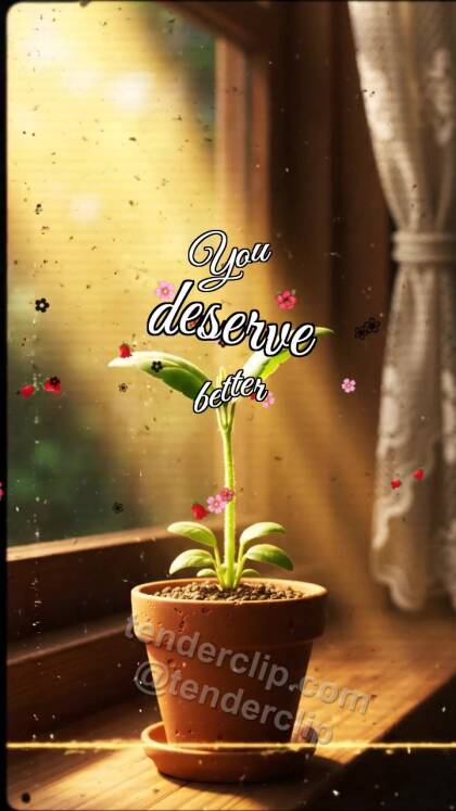 You deserve better: Sprout Reaches Light