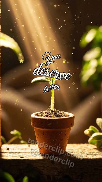 You deserve better: Sprout Reaches Light