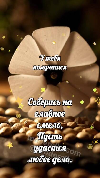 У тебя получится: Белый ирисовый затвор сужает свет