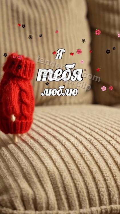 Я тебя люблю: маленький свитер обнимает шарф