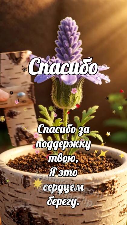 Спасибо: Берёзовый подпор выпрямляет цветок