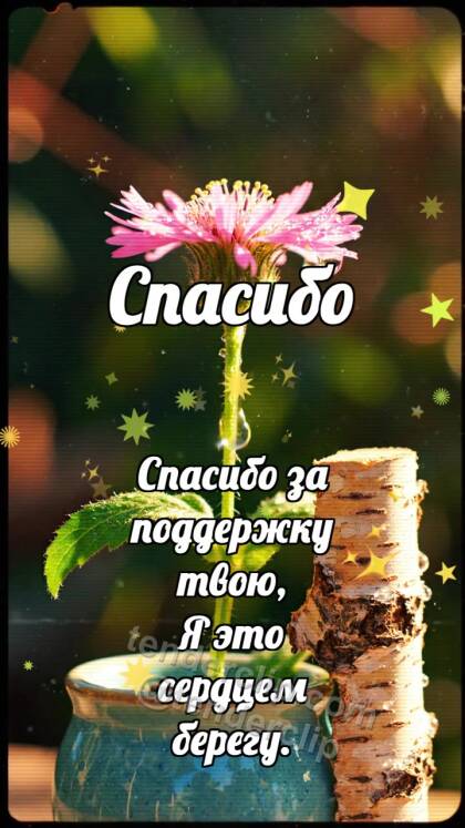 Спасибо: Берёзовый подпор выпрямляет цветок