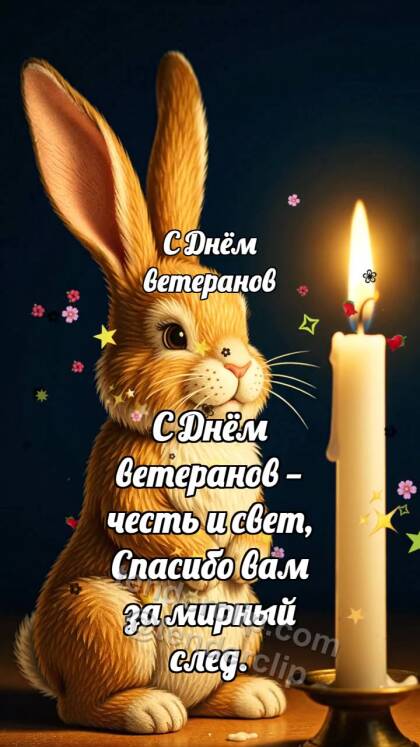 С Днём ветеранов: Зайчик у свечи памяти