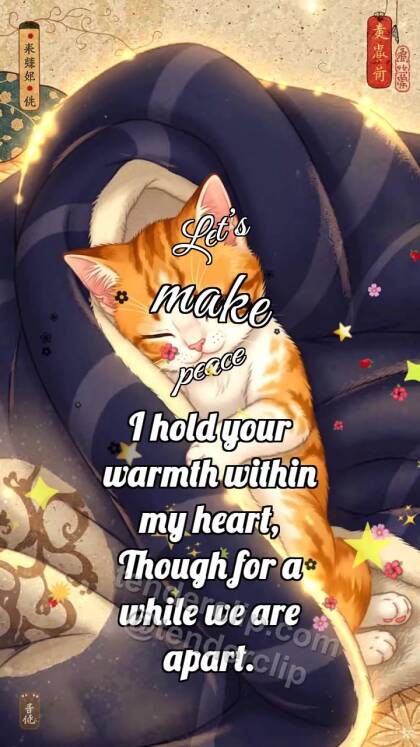 Let’s make peace: Kitten Under Blanket