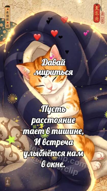 Давай мириться: Котёнок под большим пледом