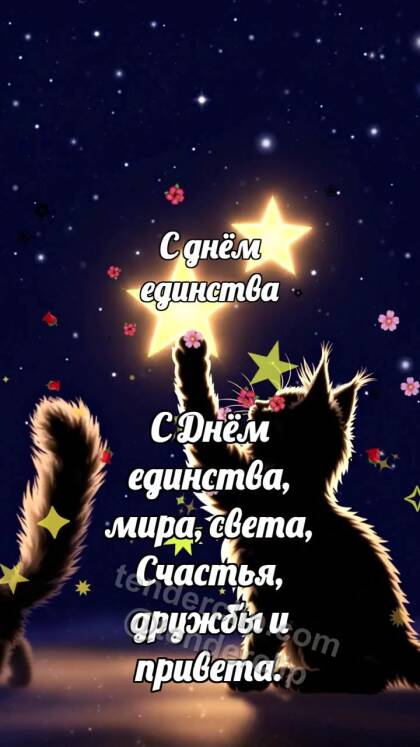 С днём единства: Котёнок соединяет звёзды