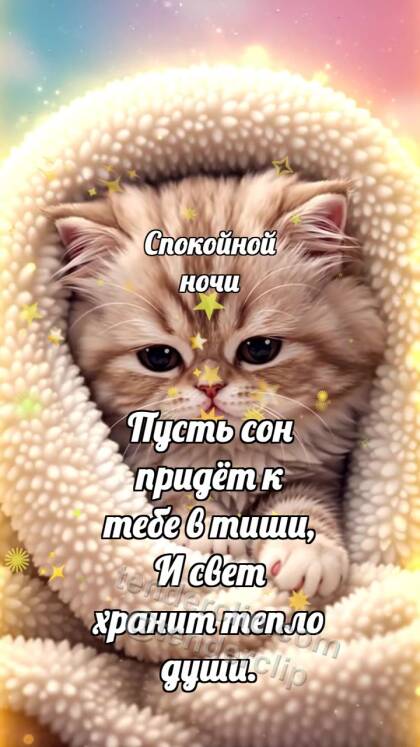 Спокойной ночи: Котёнок под большим пледом