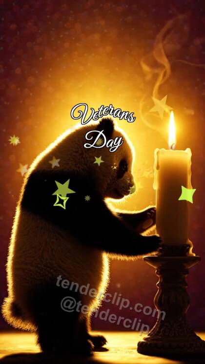 Veterans Day: Panda Cub By Memory Candle