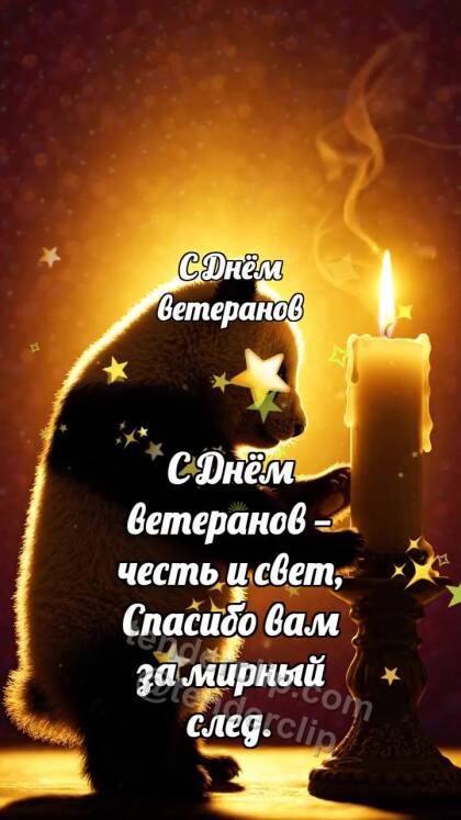 С Днём ветеранов: Панда у свечи памяти